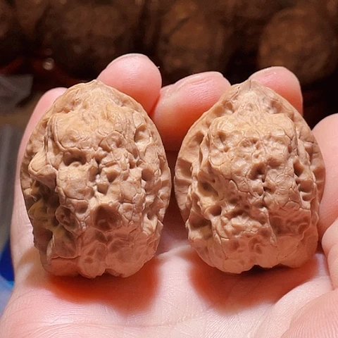 把件文玩核桃至尊龙骨带彩41