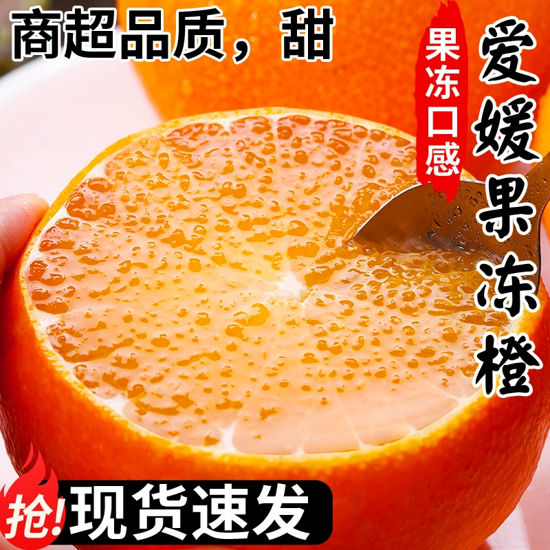 爱媛38号果冻橙子水果无籽皮薄肉厚酸甜多汁现摘现发孕妇水果