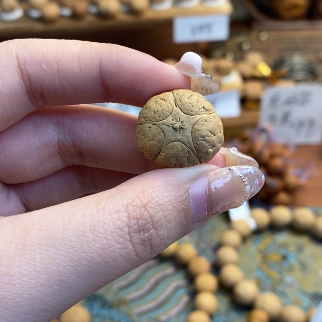 吊坠凤眼菩提五星