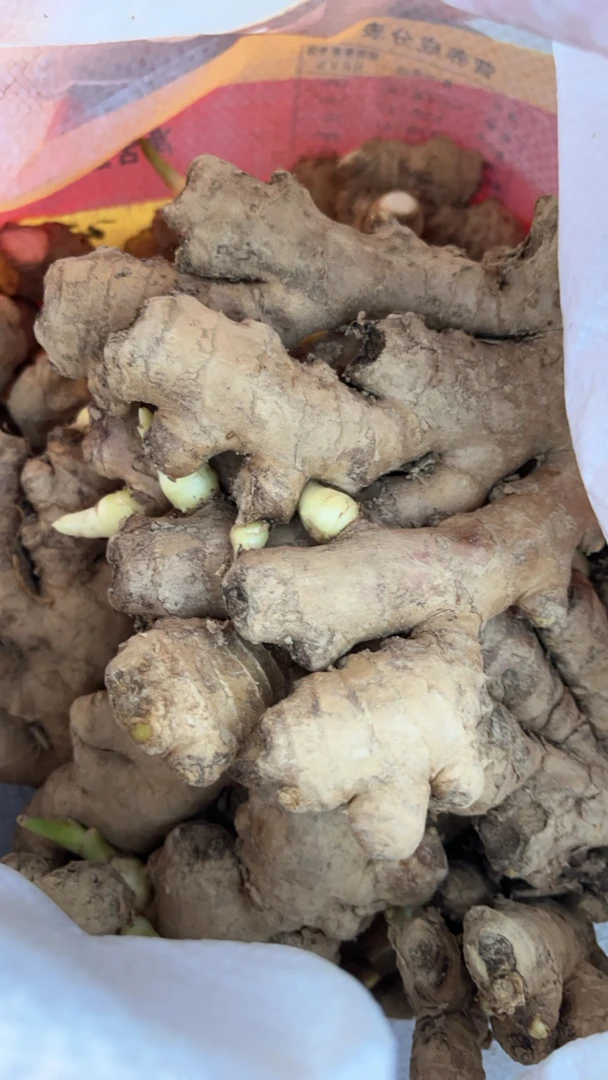 老姜农村老姜大山农村