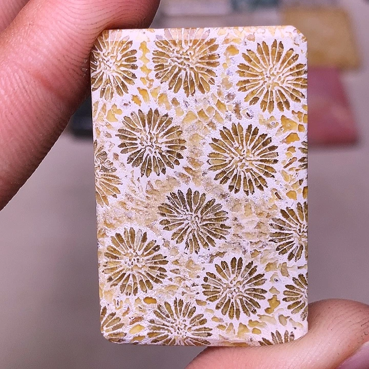 基***机硅化玉合金珊瑚玉