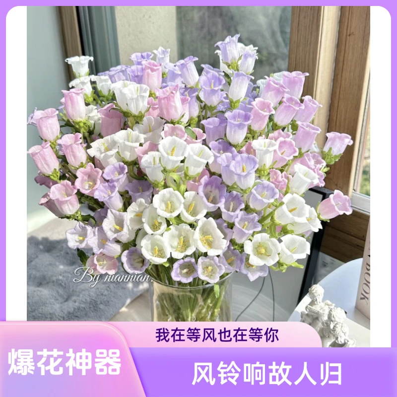 【风铃花】1把 爆花神奇 云南基地鲜花批发