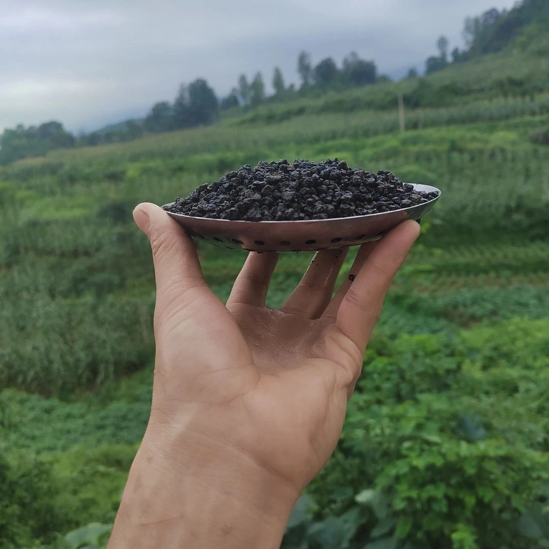 黑山土，2斤装小颗粒，1mm一3mm。配置苔藓