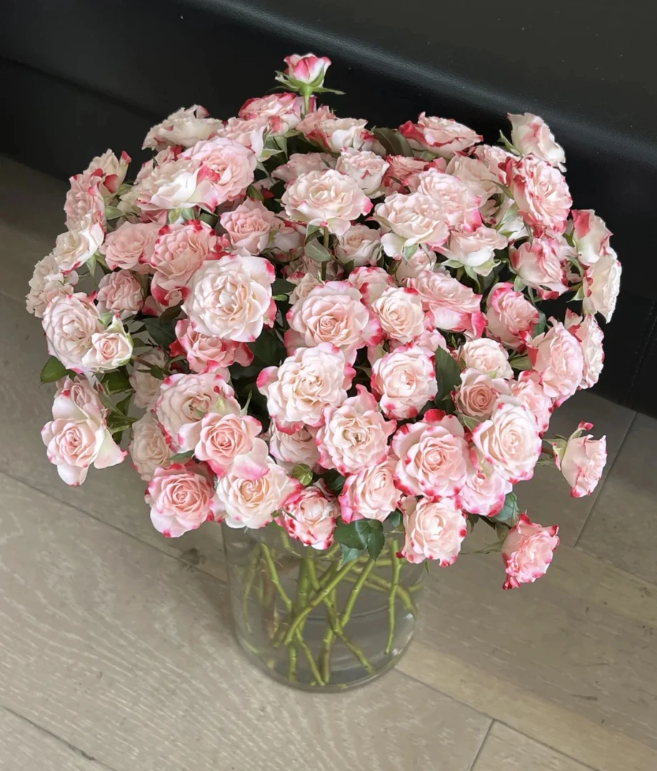 基地折射多头玫瑰鲜花基地直采直发顺丰包邮