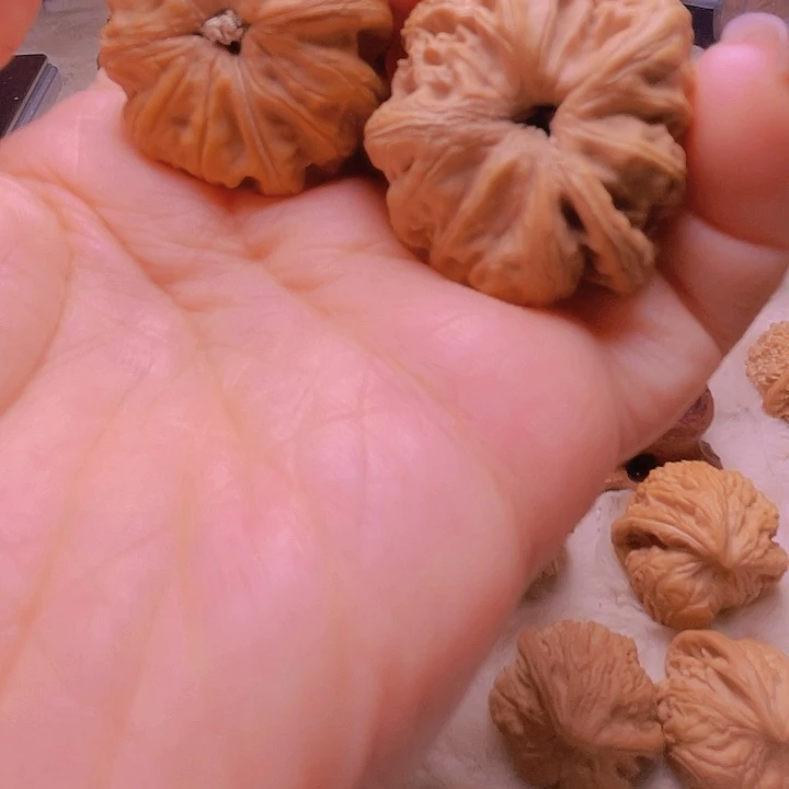 老****粉核桃核桃核桃核桃核桃