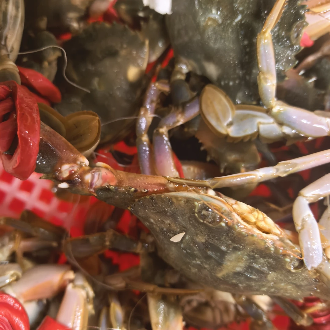 [2]小富生鲜小花盖蟹2斤