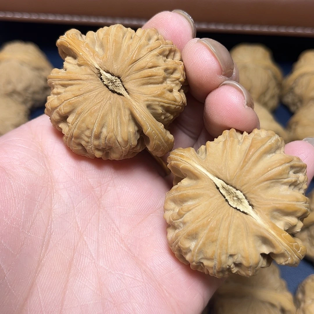 文玩核桃吊坠机*猫白狮子