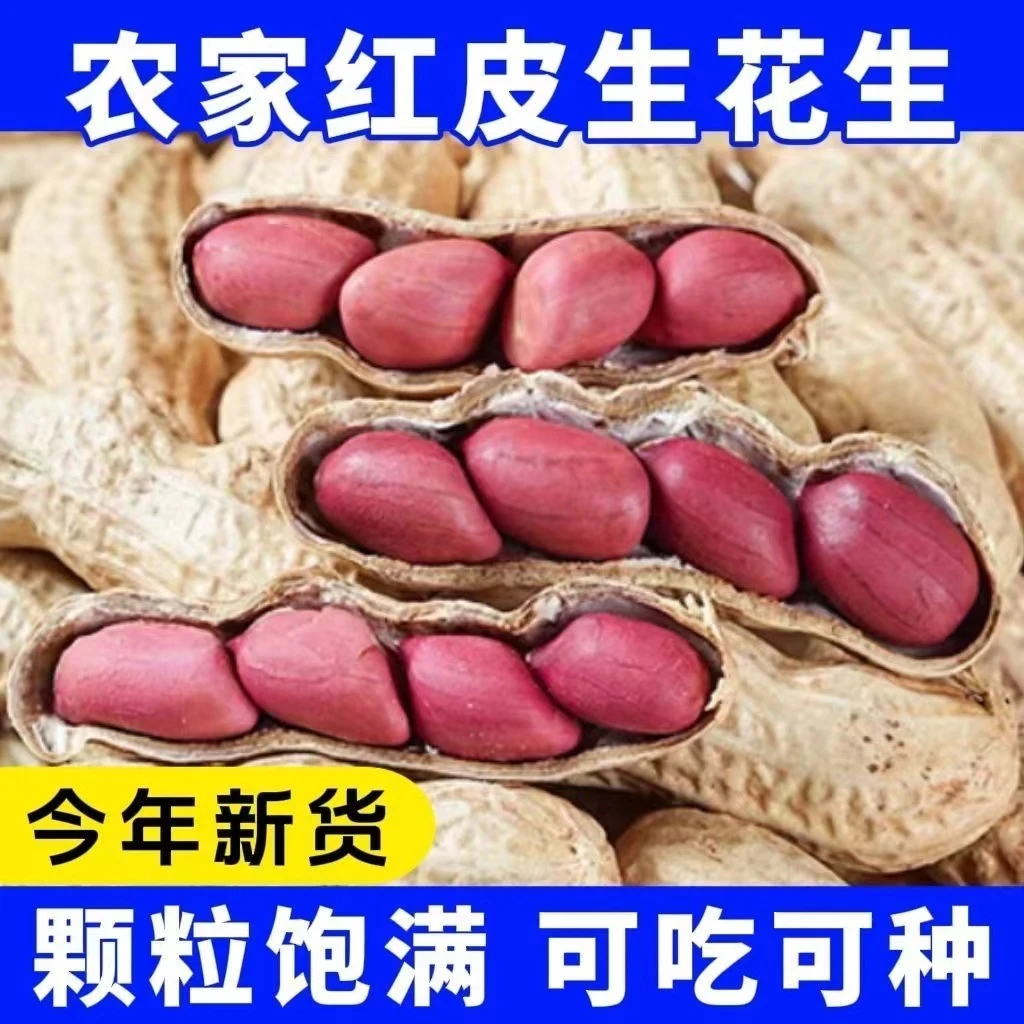 现挖新鲜红皮花生带泥湿花生农家自种四粒红代课花生红衣鲜花生