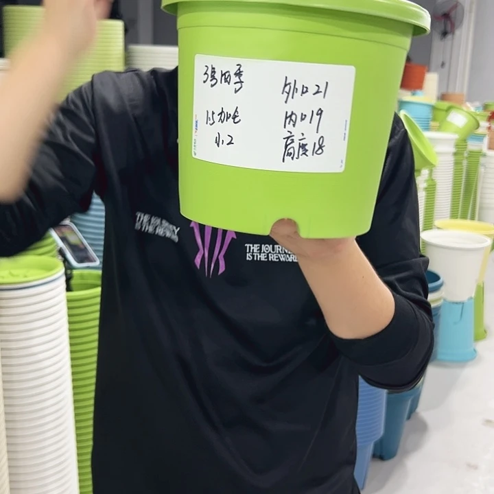 特价3号口21高18果绿色10只无托