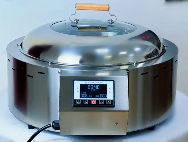 纯电智能干蒸炉，干蒸排骨，干蒸菜，喂汤炉