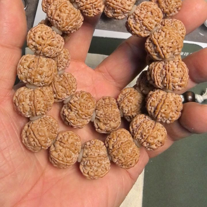 金刚菩提手串七瓣大金刚手串，20左右尺寸，原皮原色