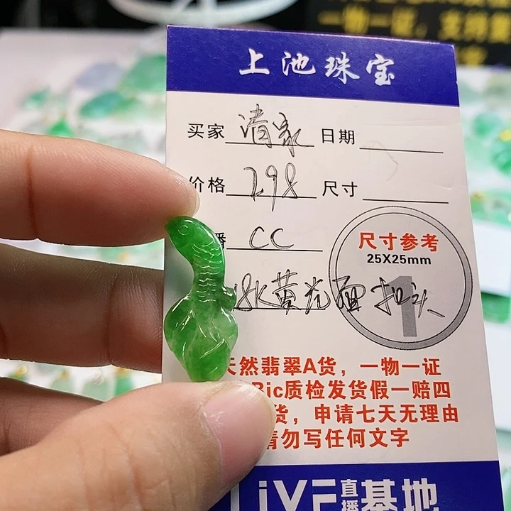 【闪购商品】翡翠颈饰未镶嵌清****女翡翠