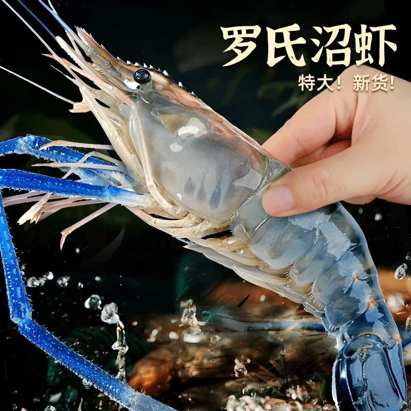 软壳大沼虾新鲜速冻罗氏沼虾3斤连云港发货