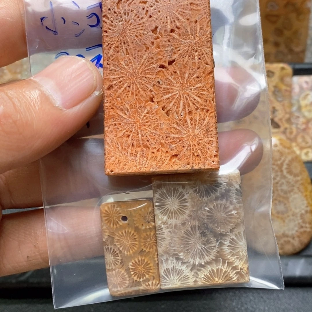 小***河未镶嵌硅化珊瑚（珊瑚玉）珠宝奇石