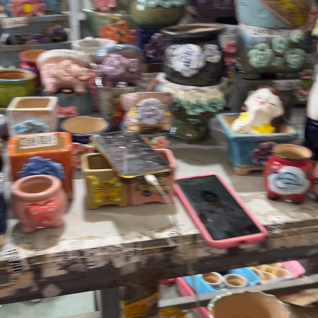 拍满18.8元包邮发货