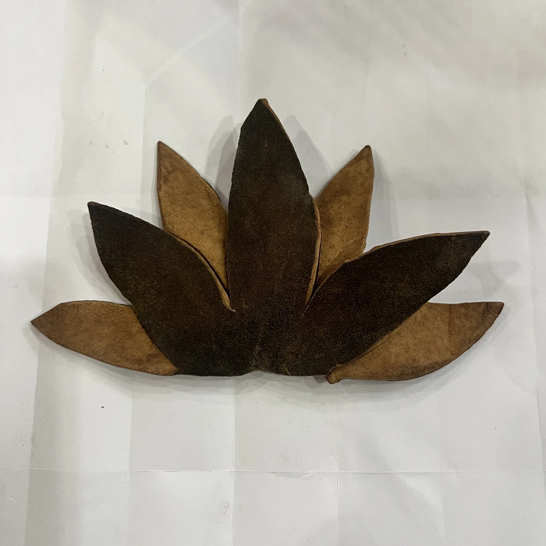 正宗化州橘红果皮20克