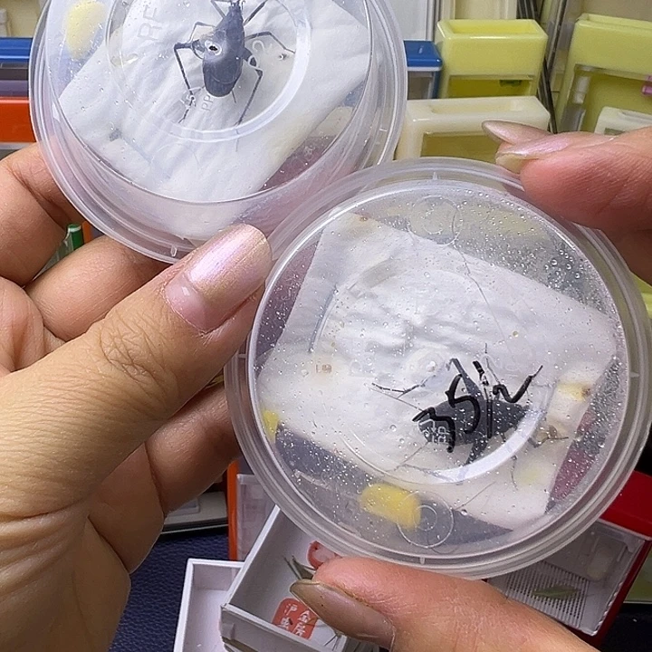 马蛉哈哈哈哈哈哈哈哈哈