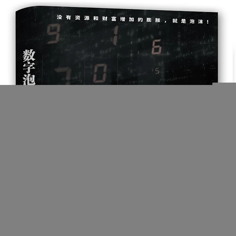 HW数字泡沫：虚拟经济交易学