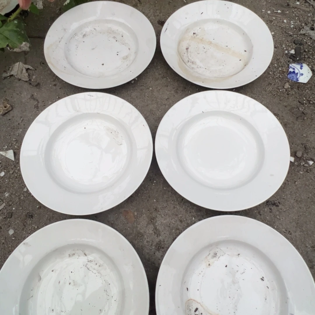 瓷片景德镇陶瓷玉泥胎9寸菜盘6只