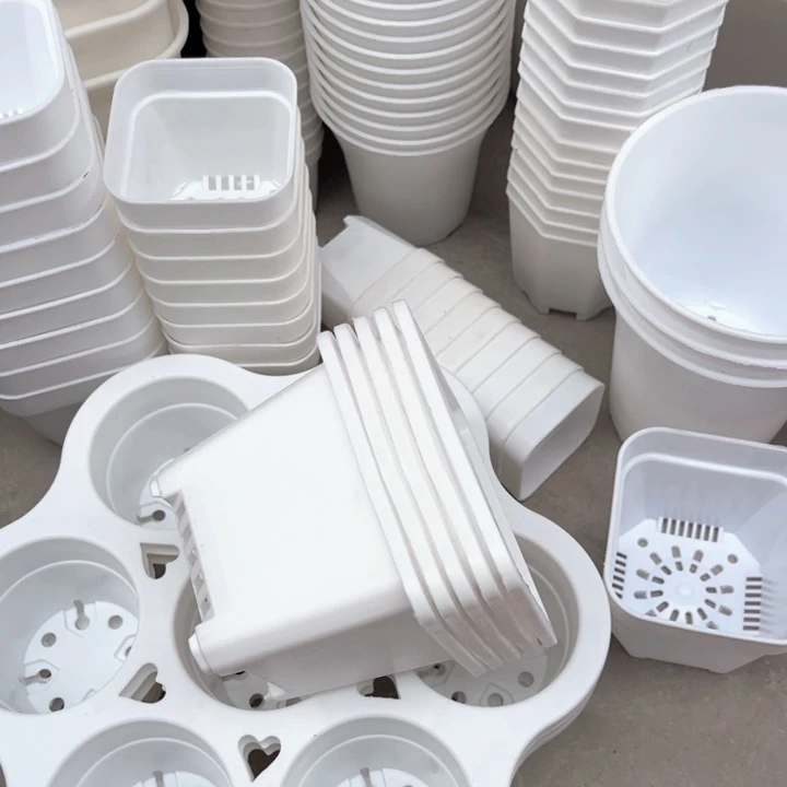 白方口9高7一组15