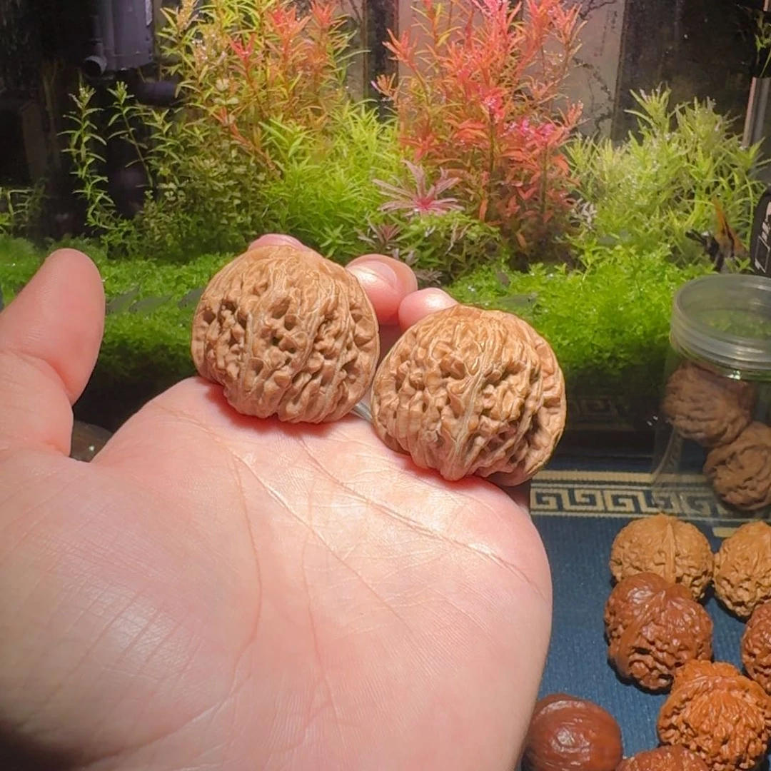 635号39蓟县四座楼文玩核桃