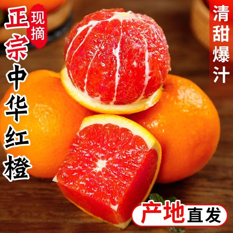 正宗湖北秭归中华红血橙新鲜当季红心红肉橙子新鲜应季现摘水果