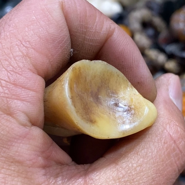 滴血莲花菩提吊坠