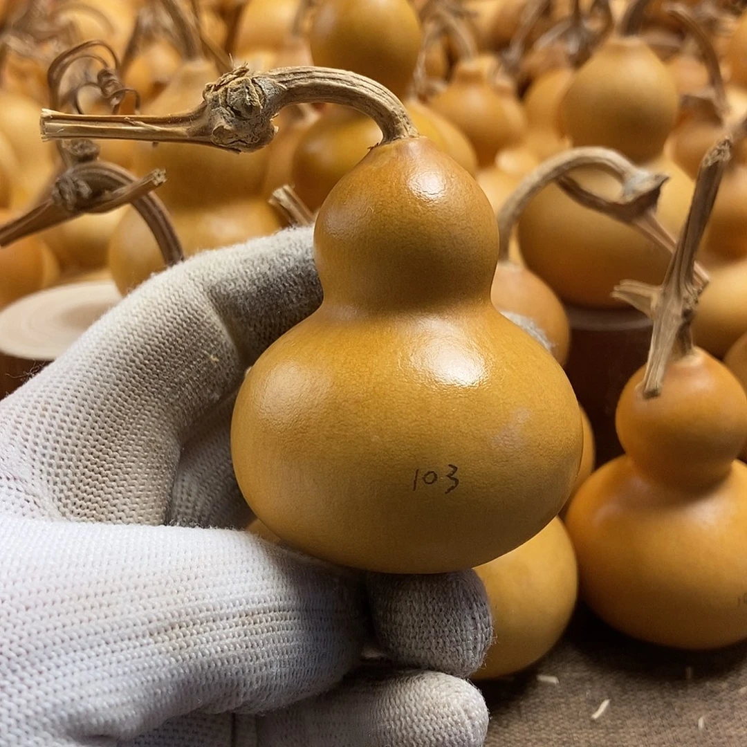 文玩葫芦 完美主义者 慎拍103