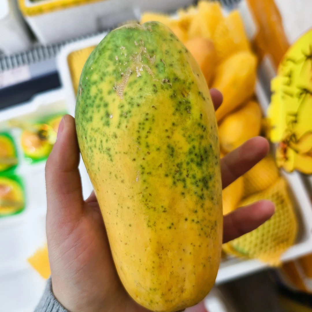 海南树熟木瓜 3枚小果 可切盒需备注