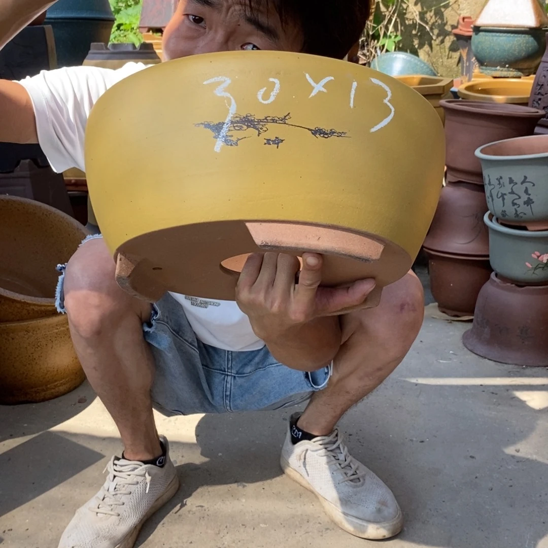 紫砂紫砂紫砂紫砂