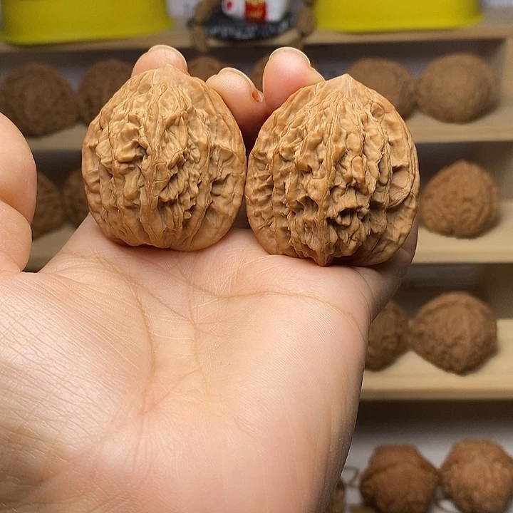 核桃41尺高桩麦穗虎头