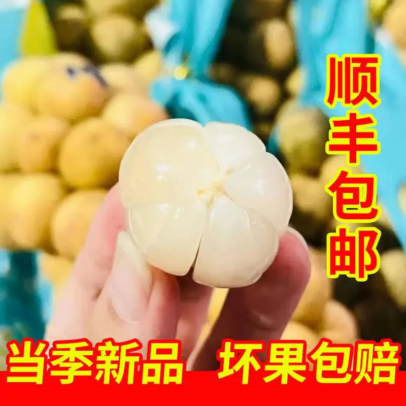 探知味泰国进口龙宫果新鲜稀奇古怪水果龙宫果孕妇水果果香果甜