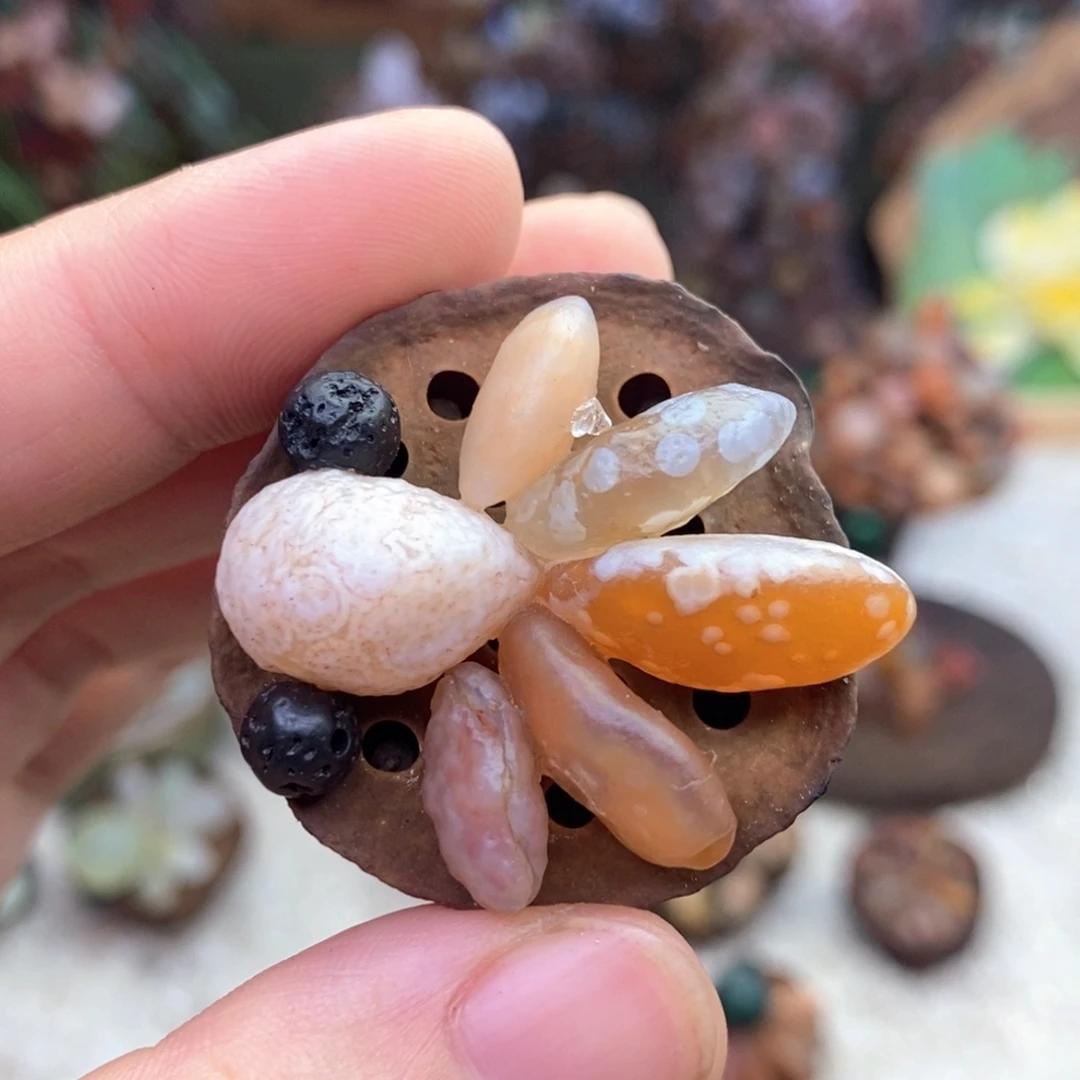木石院子锦鲤莲蓬