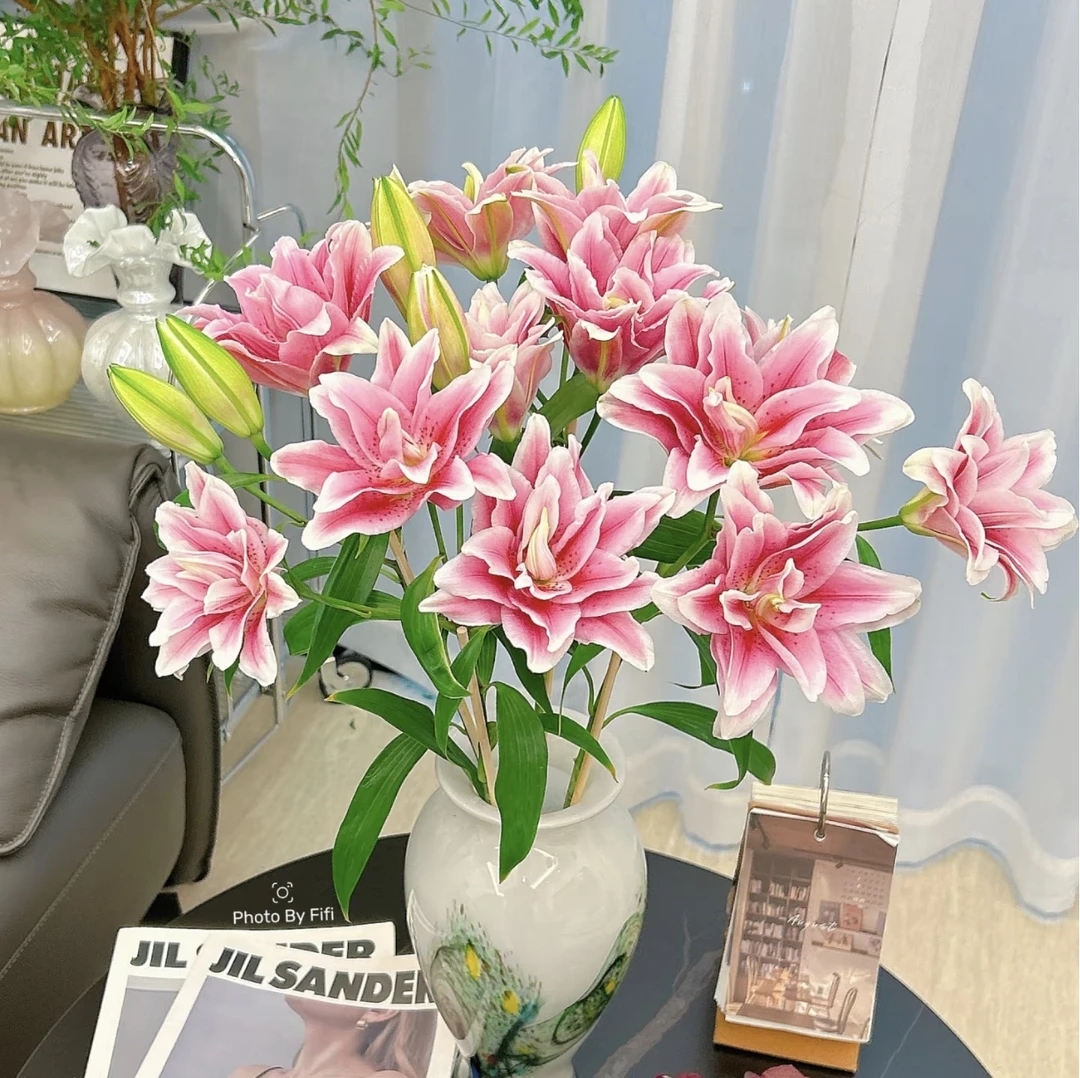 【重瓣西亚拉】百合全店2单顺丰冷链包邮家居鲜花养护