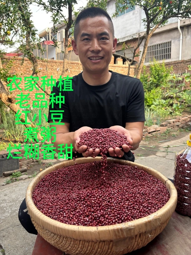 糖蜜豆老品种红小豆颗粒饱正宗补血红豆珍珠小豆软糯沙八宝粥原料