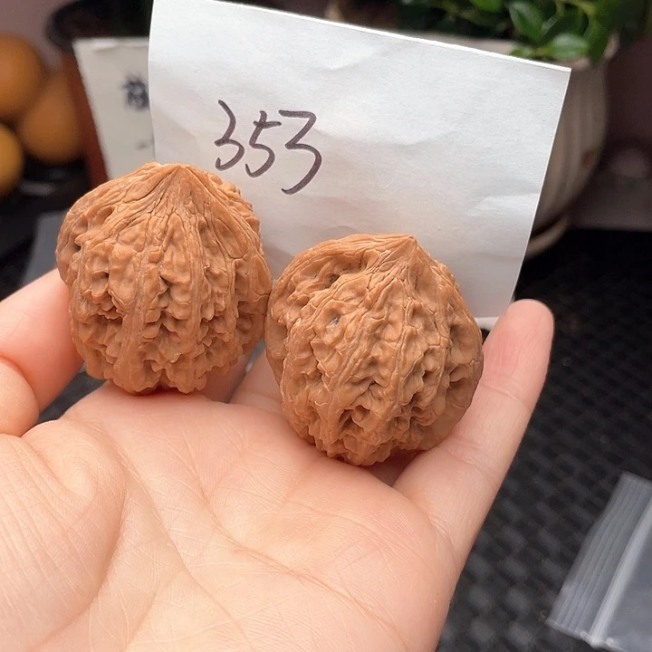 文玩核桃练手对大沽石40+尺寸