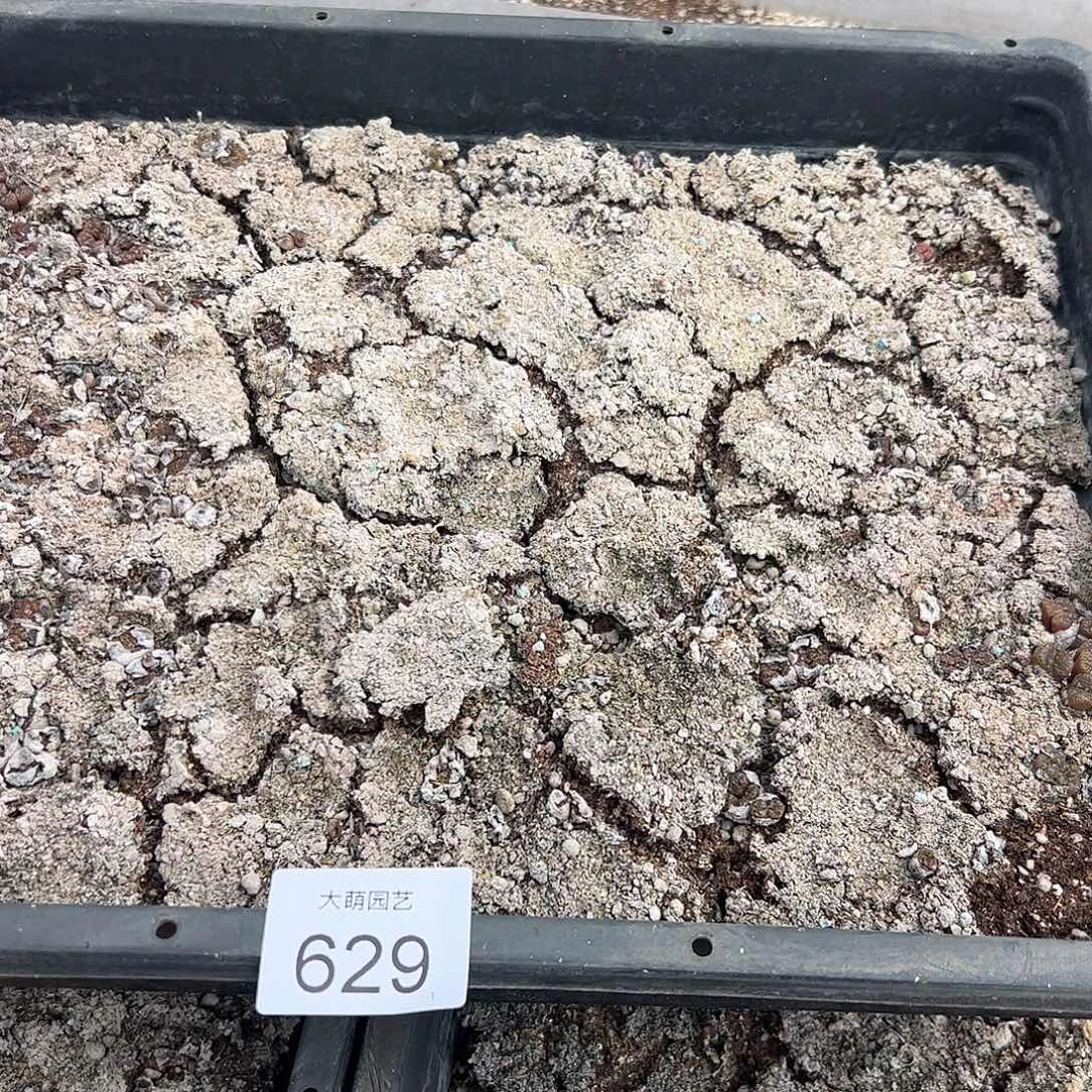 清框脱土发无售后629