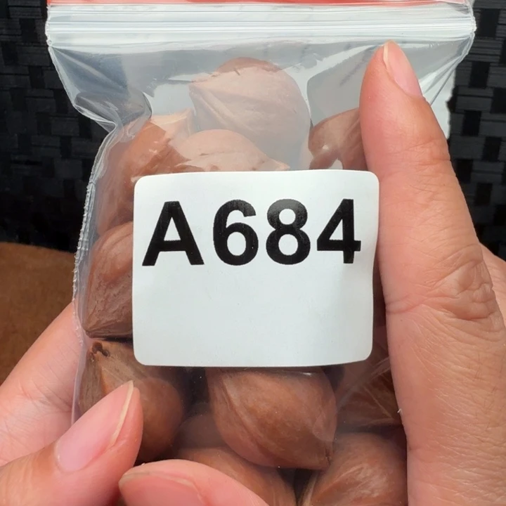 虎***哥手串/手链橄榄核橄榄