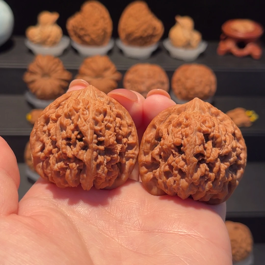 满天星41精品，全品476