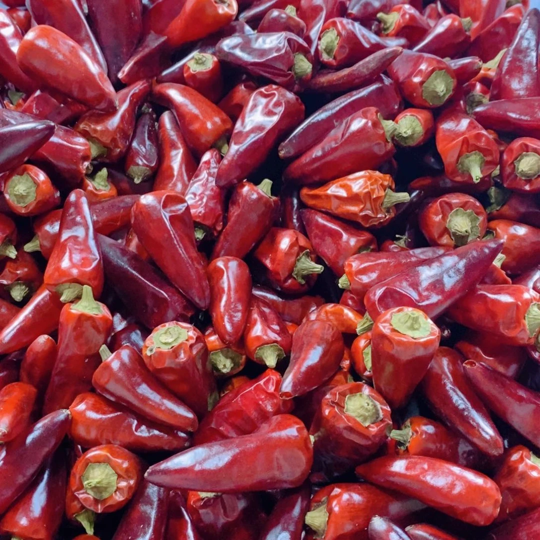 中国大陆中辣子弹头，半斤装