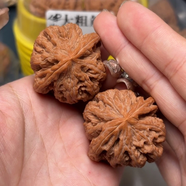 把件柏香籽/百香籽43-28925-02