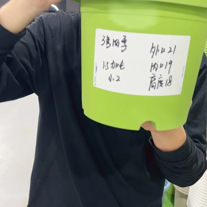 特价3号口21高18果绿色10支无托