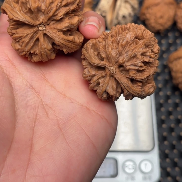 小***了九龙筋文玩核桃的