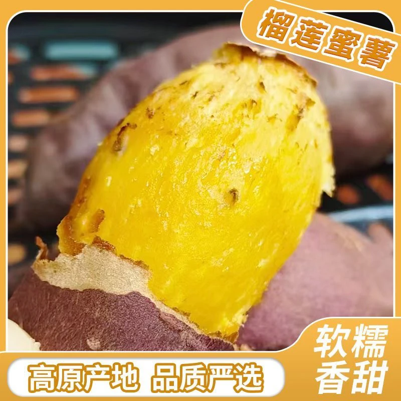 云南榴莲蜜薯 新鲜现挖软糯香甜黄心沙地红薯地瓜当季粗粮