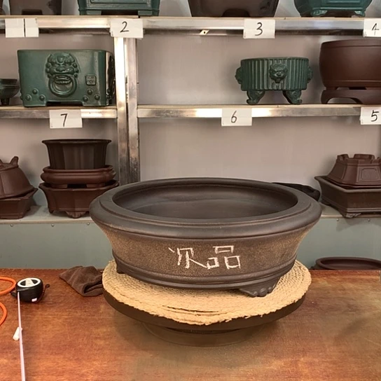 成***逛宜兴紫砂工艺厂的