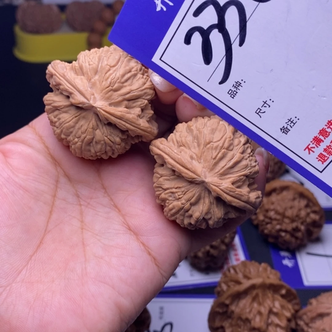 文玩核桃吊坠338号链接白狮子4.3尺全品
