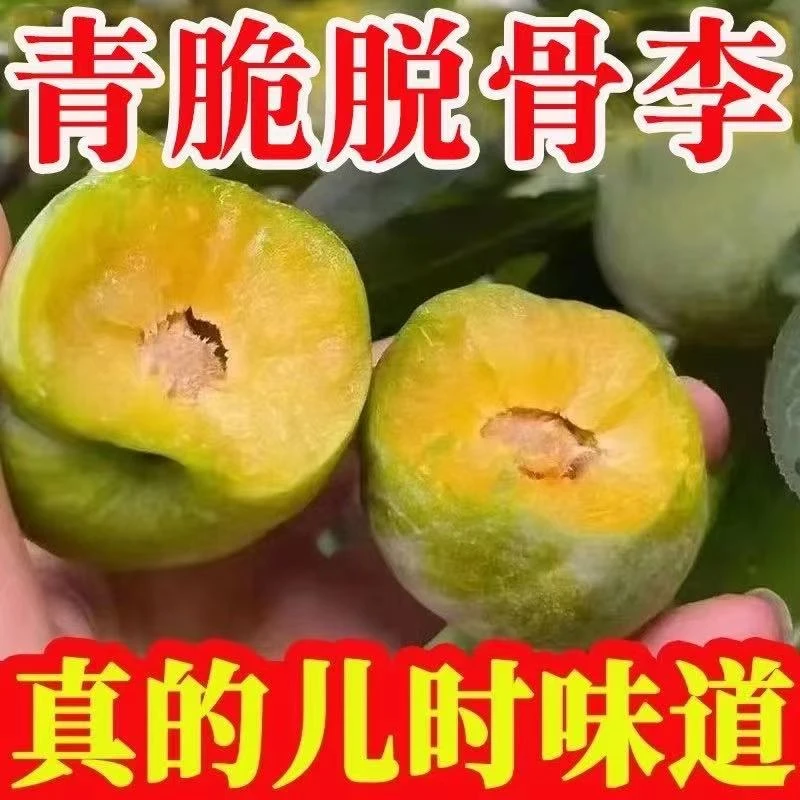 【脱骨李】Ft精选冰脆脱骨李子酸脆甜爽口新鲜孕妇水果包邮