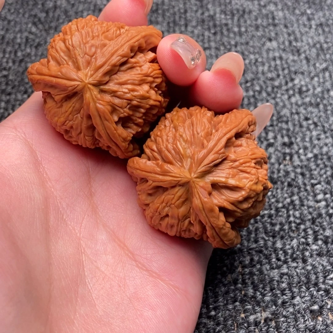 黄***马木质类白狮子正奔