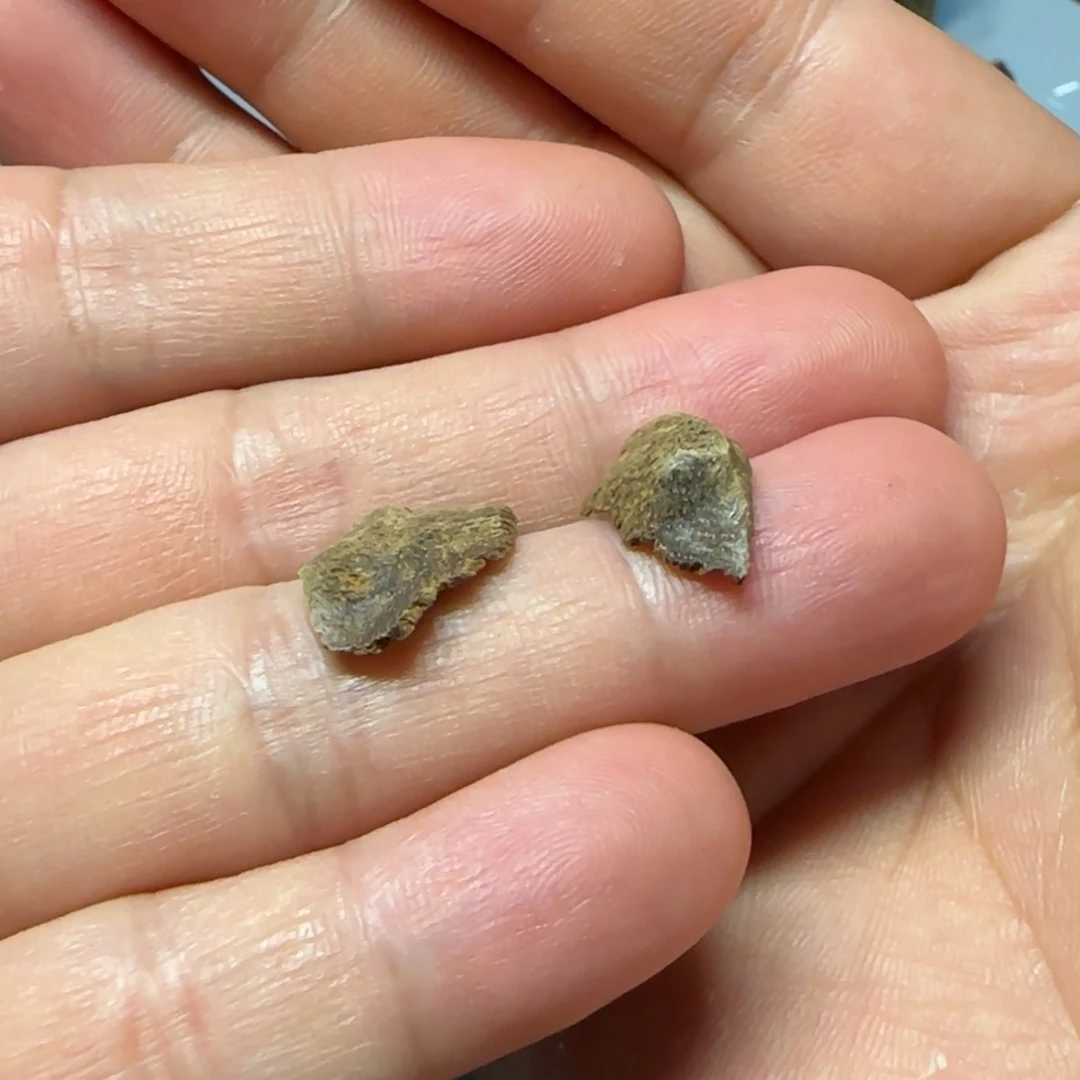 【闪购商品】沉香沉香香囊重**验惠安系越南顺化土沉0.3g