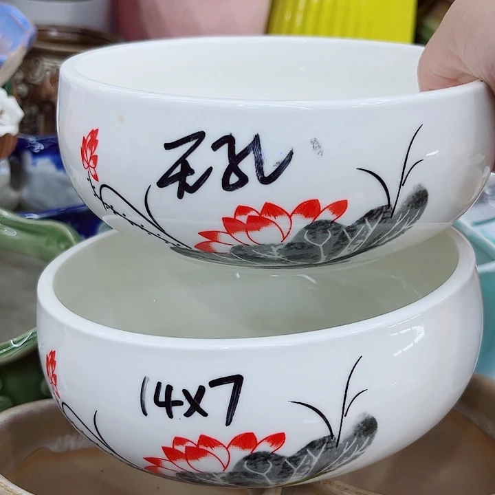 多肉植物陶瓷花瓶